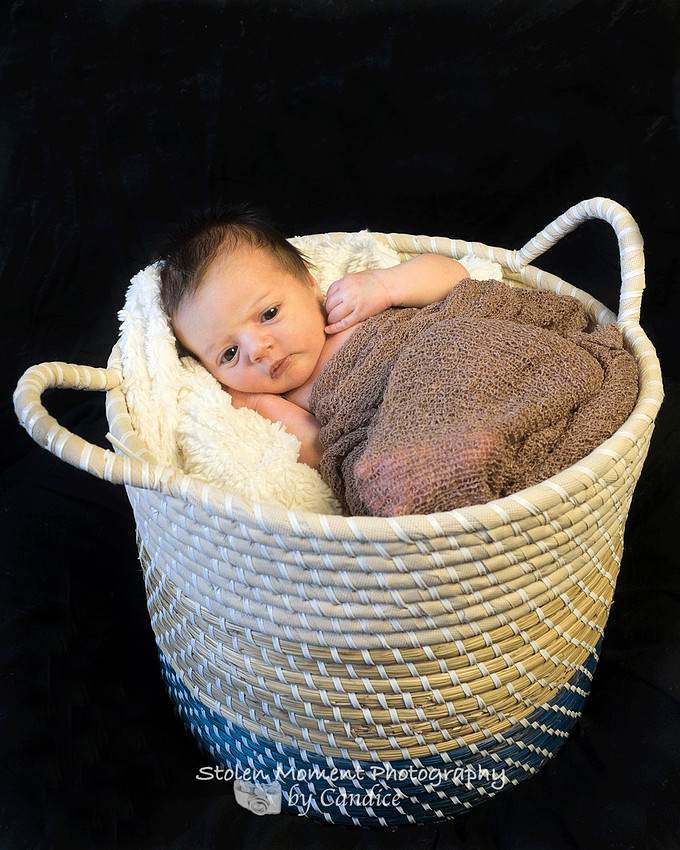 baby girl in basket looking at camera