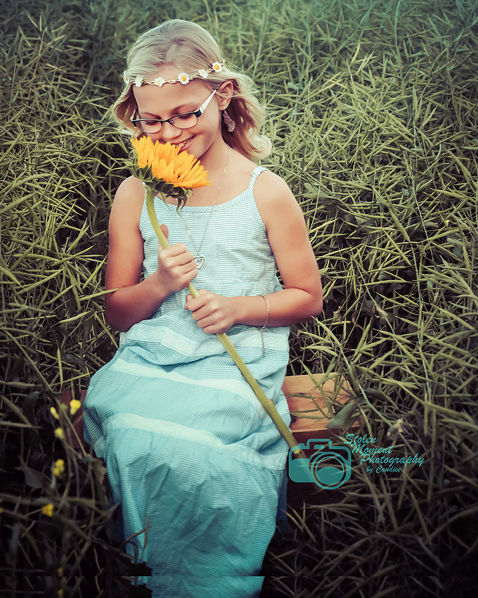 girl smells sunflower in a field of canola