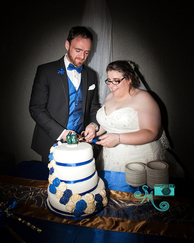 bride and groom cutting the cake