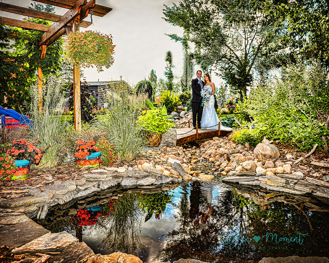 a bride and groom stand on a wooden bridge in front of a pond at Hastings Lake Gardens