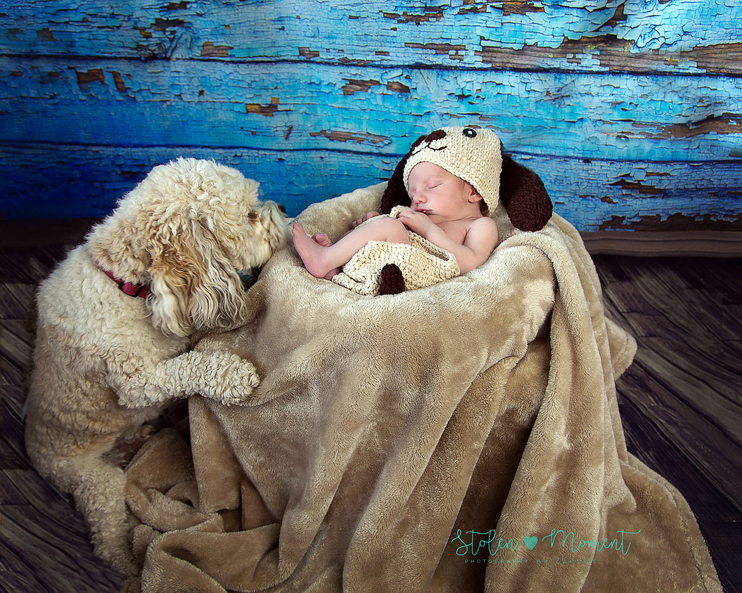 Welcoming a six day old boy in photos alone and with his two older sisters and mom and dad