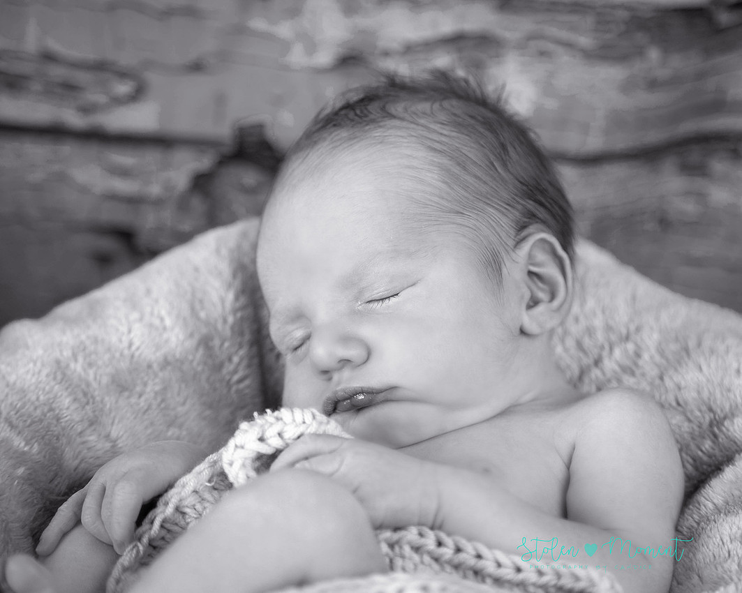 Welcoming a six day old boy in photos alone and with his two older sisters and mom and dad