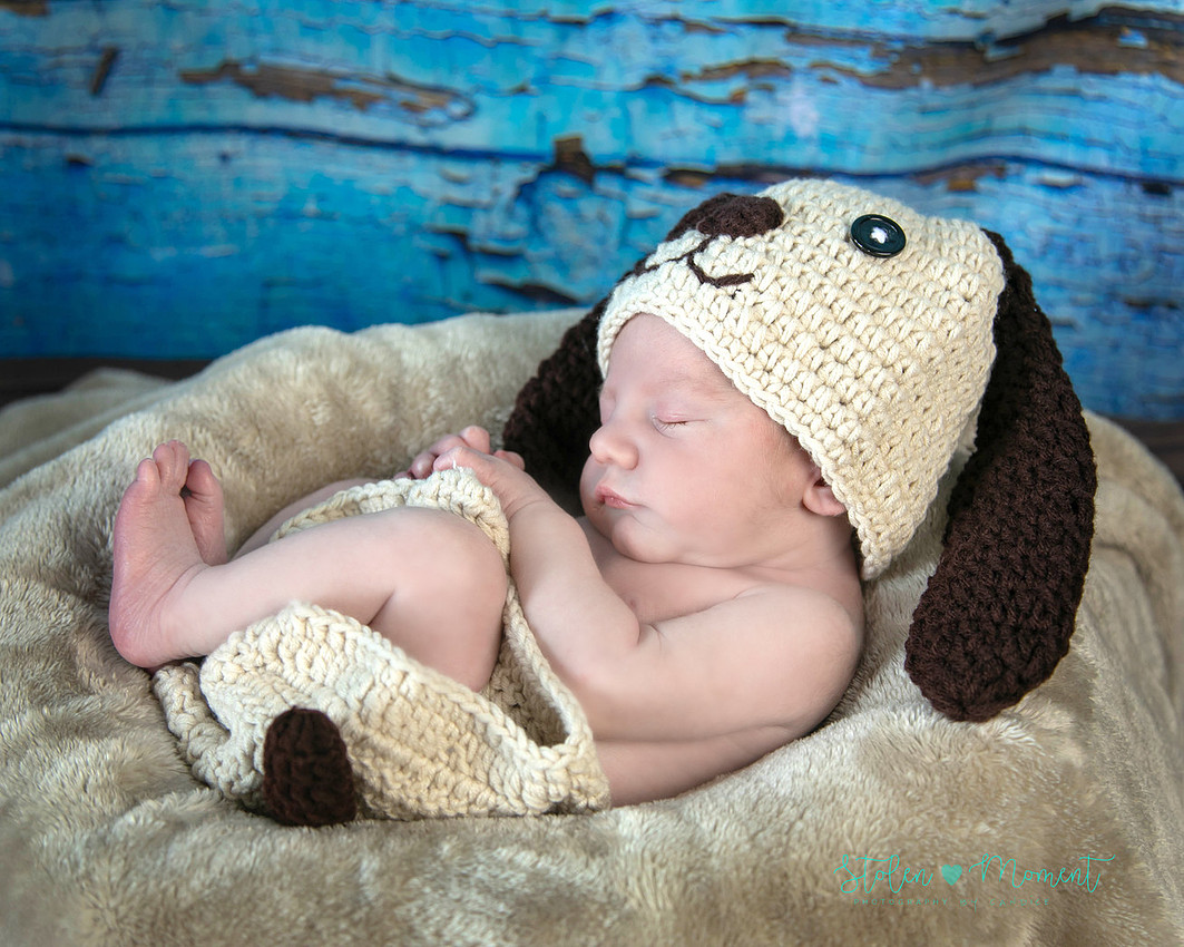 Welcoming a six day old boy in photos alone and with his two older sisters and mom and dad