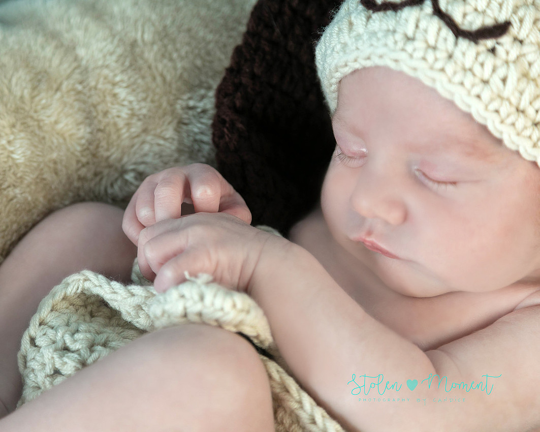 Welcoming a six day old boy in photos alone and with his two older sisters and mom and dad