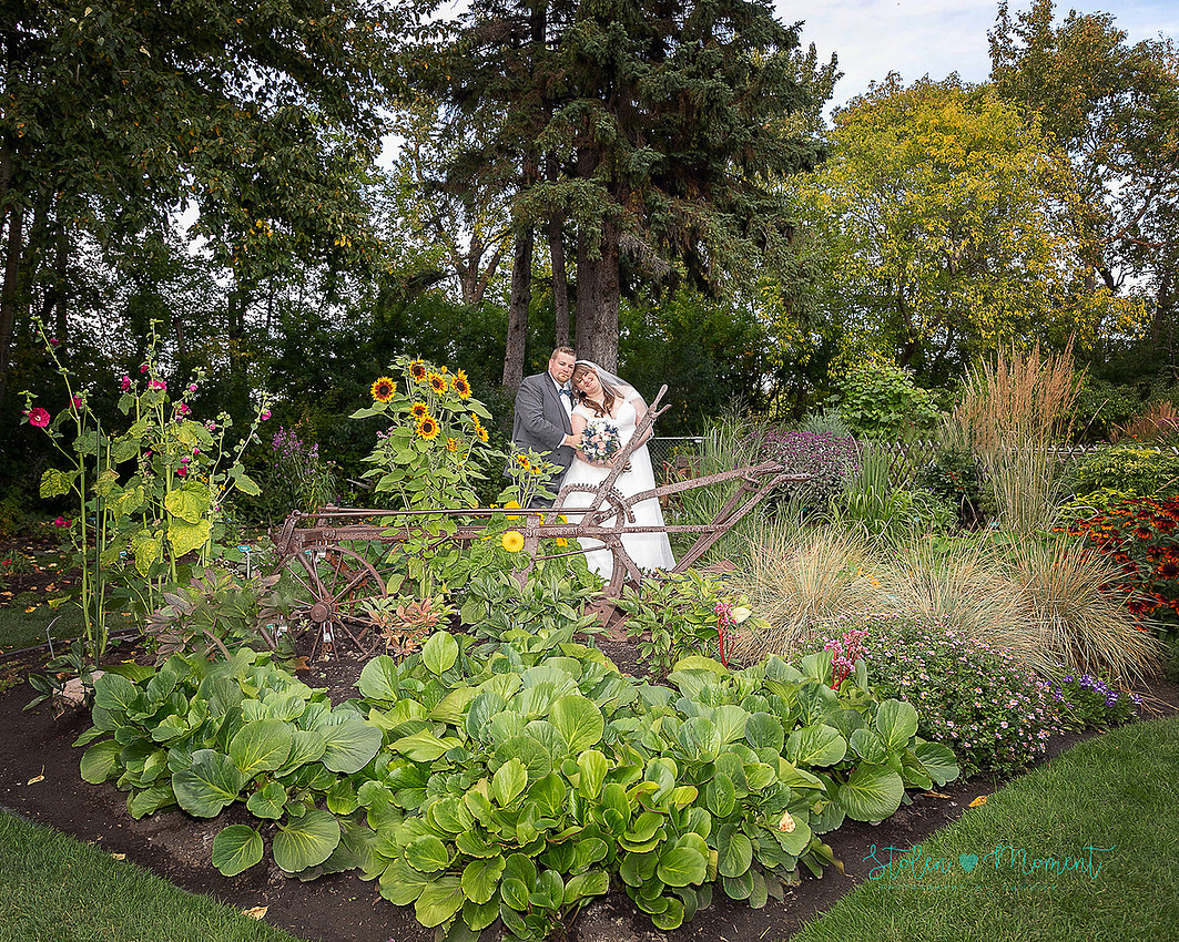 A bride and groom celebrate their marriage in Morinville and St. Albert