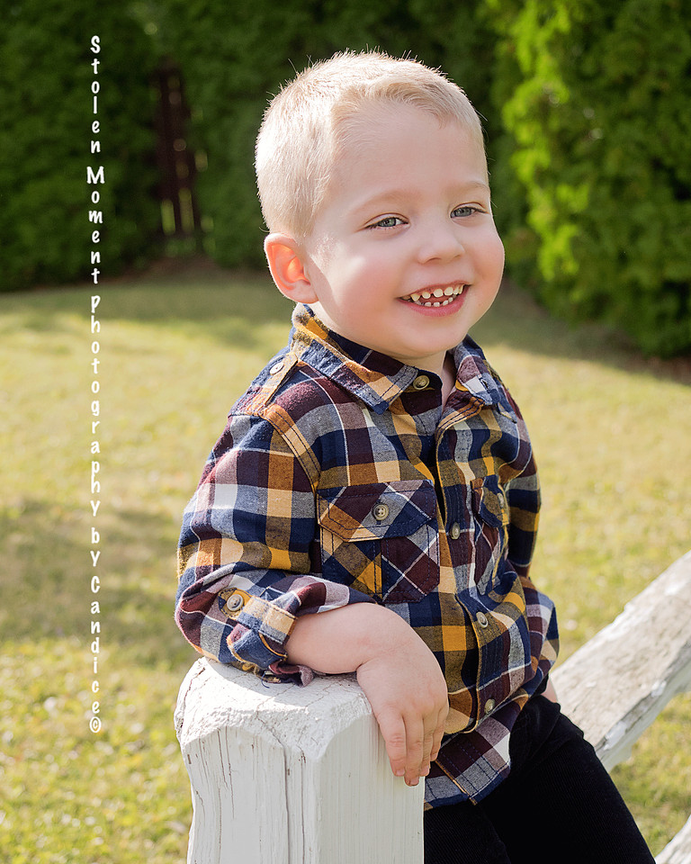 Family Photographers