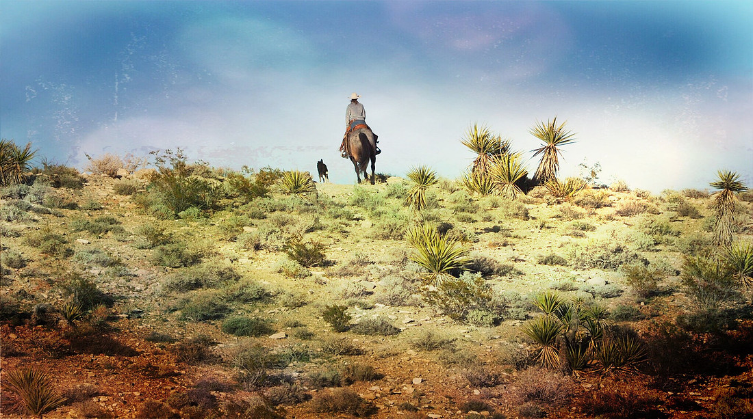 Las Vegas cowgirl in red rock canyon